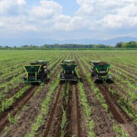 Preocupación en el sector cañero por propuesta del Gobierno que modifica el precio del etanol