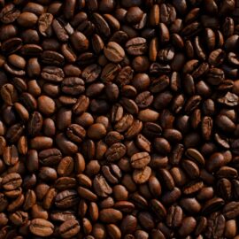Descubre los secretos del café: Otros usos de este grano (jardinería, evitar malos olores)