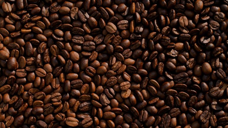 Descubre los secretos del café: Otros usos de este grano (jardinería, evitar malos olores)