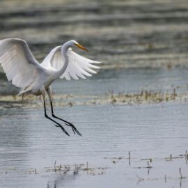 Cali respira naturaleza: conozca la agenda de este viernes en la semana de la biodiversidad