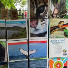 ¡La importancia de cuidar las áreas protegidas! UAO presente en evento ecológico y económico regional