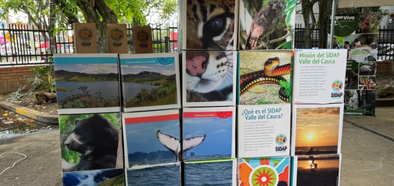¡La importancia de cuidar las áreas protegidas! UAO presente en evento ecológico y económico regional