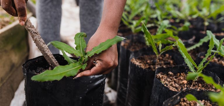 Fundación caleña transforma la realidad del río Lili y Meléndez de esta manera