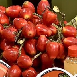 Emprendimiento con sabor: familia del Valle transforma el chontaduro en negocio exitoso