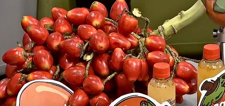 Emprendimiento con sabor: familia del Valle transforma el chontaduro en negocio exitoso