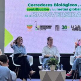 Avanza la construcción de un corredor biológico de 890 km en el valle del río Cauca