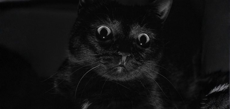 ¿Cuáles son los orígenes de estas supersticiones populares? (gato negro y más)