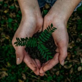 Cali destaca el rol de las mujeres rurales en la protección de la biodiversidad