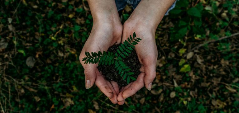 Cali destaca el rol de las mujeres rurales en la protección de la biodiversidad