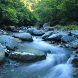 ¿Qué actividades tendrá la Semana de la Biodiversidad este sábado?