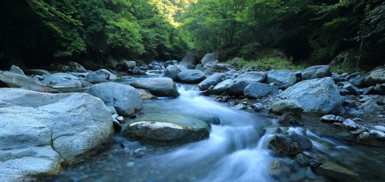 ¿Qué actividades tendrá la Semana de la Biodiversidad este sábado?