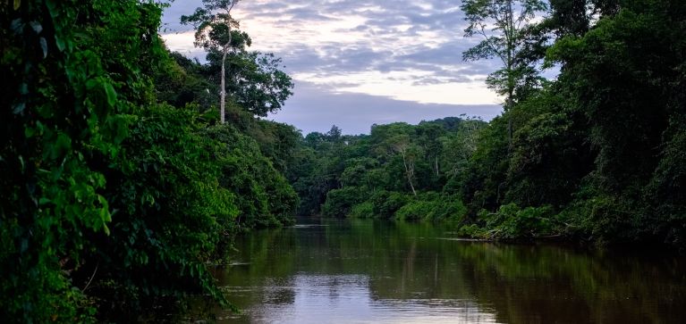 ¿Realmente el Amazonas produce la suficiente cantidad de oxígeno para el planeta?
