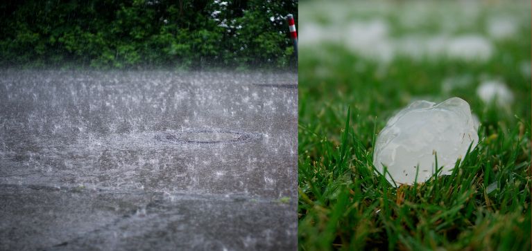 Autoridades entregan balance de emergencias tras lluvias y fuertes vientos en Cali