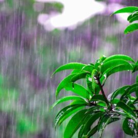 Colombia, uno de los países más lluviosos del mundo: ¿por qué llueve tanto? 