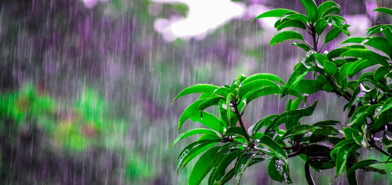 Colombia, uno de los países más lluviosos del mundo: ¿por qué llueve tanto? 