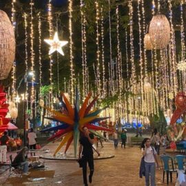 Cali se ilumina con más de 3.900 figuras en el tradicional Alumbrado Navideño