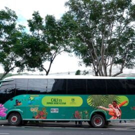 El bus turístico llegará al barrio Obrero durante la ‘Feria al Barrio Obrero: Calle de la Salsa’
