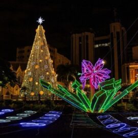 Estos son los lugares para visitar en fiestas decembrinas en el Valle del Cauca; prográmese