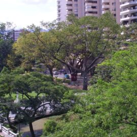 Habrá cierres viales en El Peñón este domingo: conozca los horarios en que aplicarán