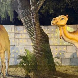 El pesebre humano más grande del mundo ilumina la Navidad en Palmira