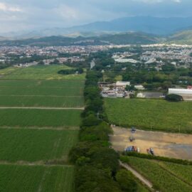 Infivalle celebra 54 años con nuevas apuestas económicas y ambientales para el Valle
