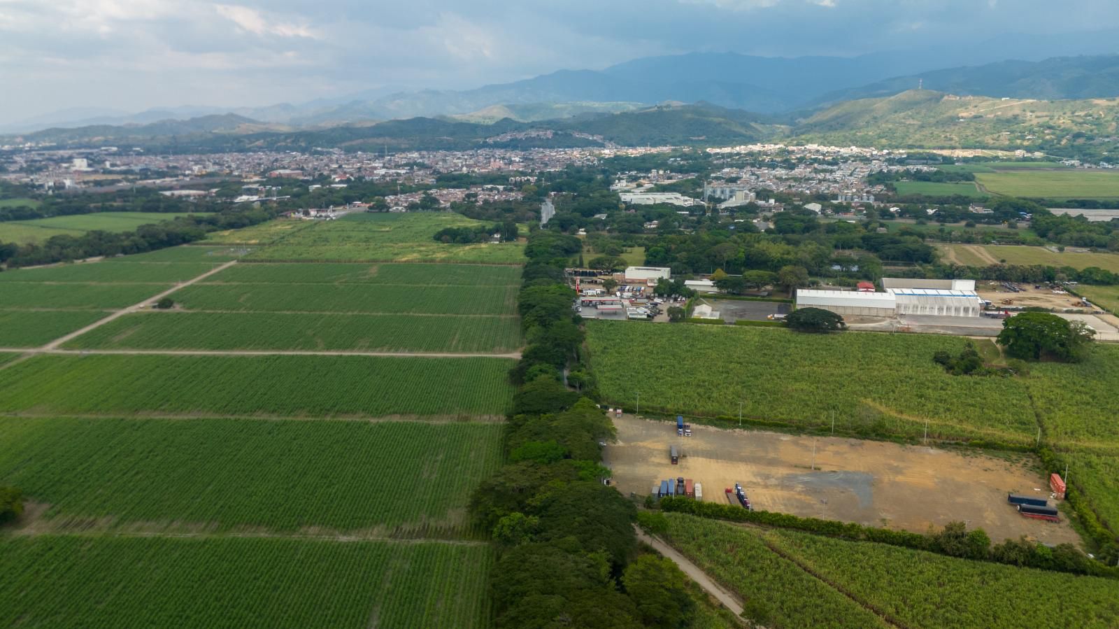 ¿Hasta cuando irá la medida de Pico y placa en Cali en diciembre 2025?