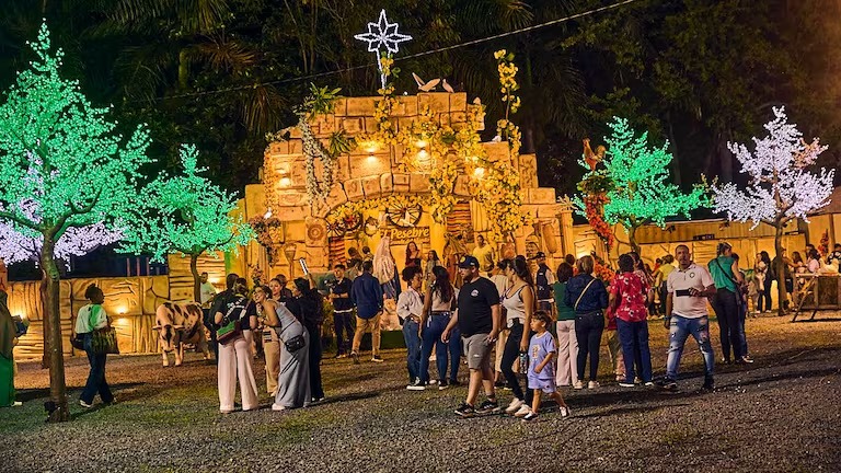 ¿Hasta cuándo estará el pesebre más grande del  mundo en Palmira?