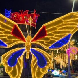 ¡Cali, sucursal de la Navidad! Detalles del alumbrado navideños de este 2025