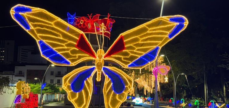 Imágenes: Así luce el alumbrado navideño en Cali para este 2025