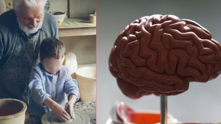 Las 5 etapas de vida del cerebro y su impacto a la salud y forma de vivir; la edad es clave