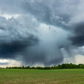 ¿Cuál es el pronóstico del clima para este lunes 16 de marzo en Cali?
