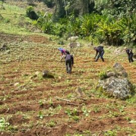 Autoridades recuperan predio ilegal en los Farallones de Cali en medio de disturbios