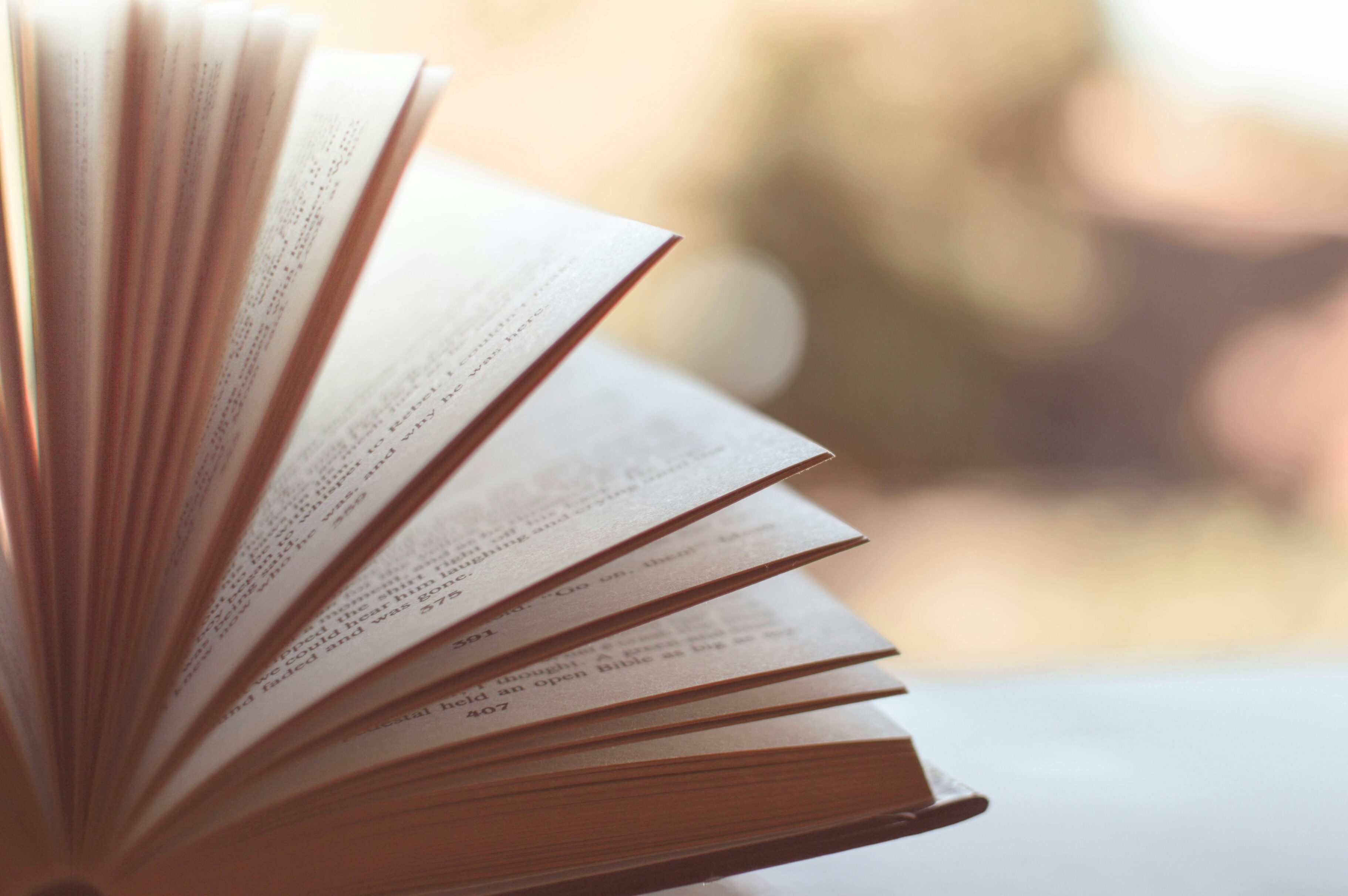 Recomendaciones literarias: los libros que marcaron el 2025 según Gerardo Quintero