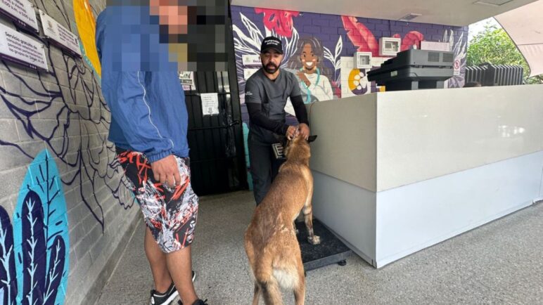'Zafir', el perro que resultó herido tras atentado en Mariano Ramos, ¿cuál es su estado de salud?