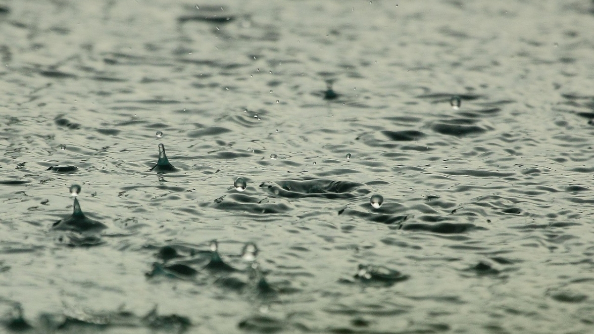 CVC entrega detalles sobre las constantes lluvias en el Valle del Cauca en temporada seca