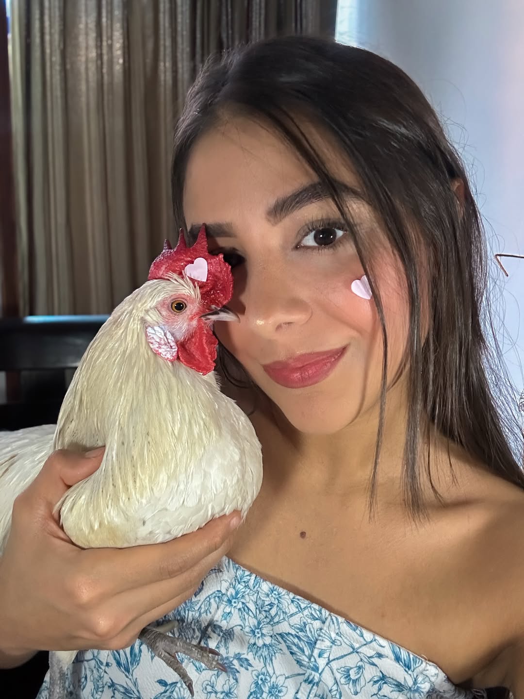 Taco el pollito