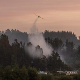 Aumentan a 19 los fallecidos por incendios forestales en Chile