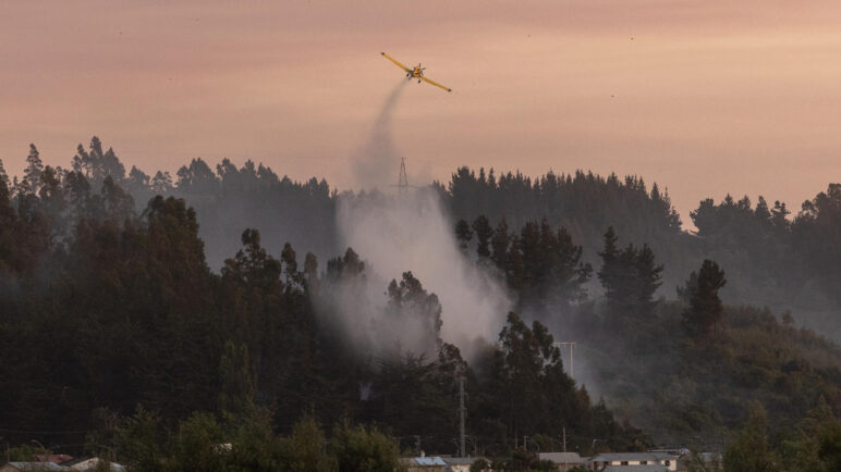 Aumentan a 19 los fallecidos por incendios forestales en Chile