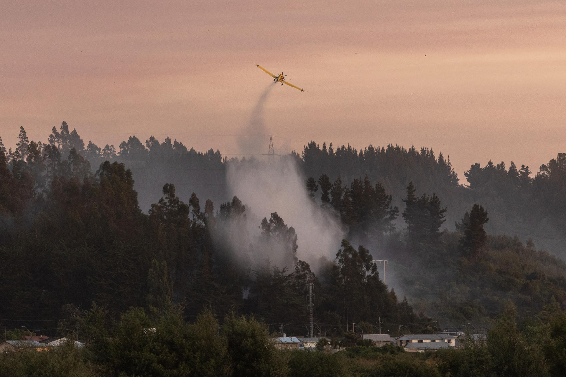 Aumentan a 19 los fallecidos por incendios forestales en Chile