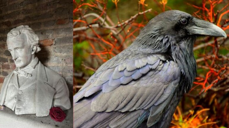 La sombría historia e incluso final de Edgar Allan Poe, considerado el 'maestro del terror'
