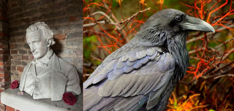 La sombría historia e incluso final de Edgar Allan Poe, considerado el 'maestro del terror'