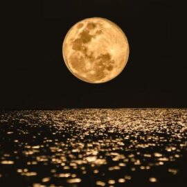 Calendario lunar para febrero de 2026: ¿Cuándo habrá luna llena?