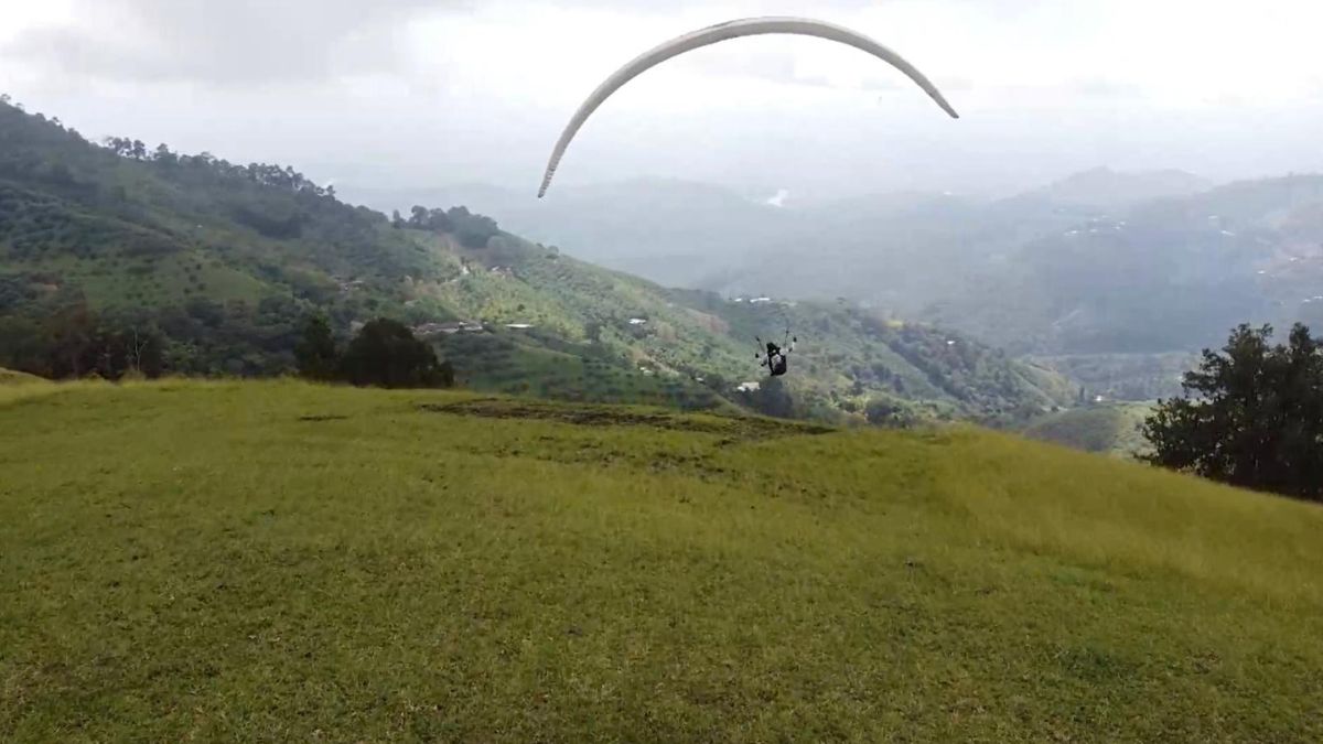 Valle del Cauca cerró 2025 sin muertes por dengue: conozca cómo se logró