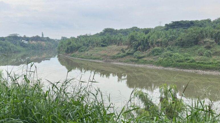 Alerta naranja por crecimiento de caudal del río Cauca en Cali