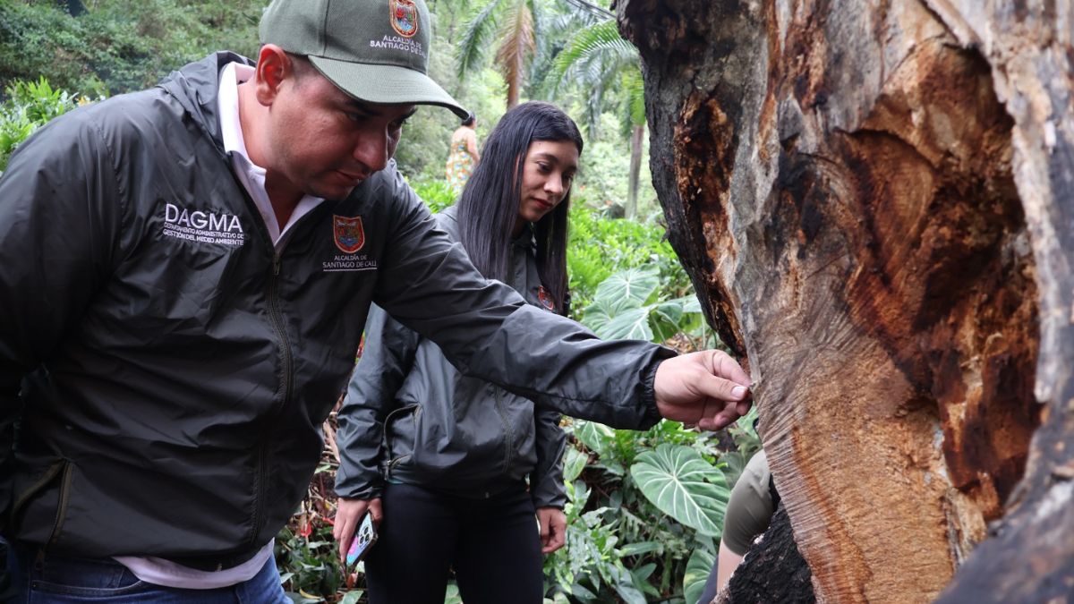 ¿Qué clima hará en Cali hoy 2 de febrero? Ojo al pronóstico de las autoridades