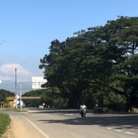 Este es el cierre parcial que se hará en la vía recta Cali - Palmira