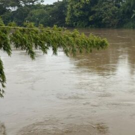 Conozca cuál es el crecimiento de los ríos en Cali tras el aumento de lluvias