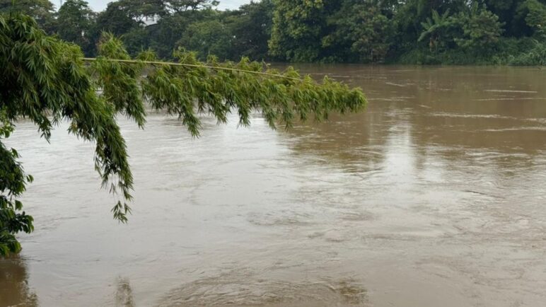Conozca cuál es el crecimiento de los ríos en Cali tras el aumento de lluvias