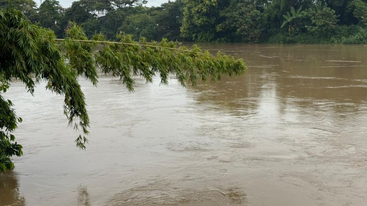 Conozca cuál es el crecimiento de los ríos en Cali tras el aumento de lluvias
