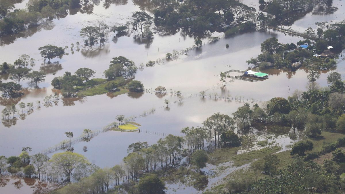 Recolección de alimentos para Buenaventura y Córdoba, afectados por temporada de lluvias